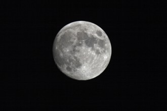 Vollmond, full moon