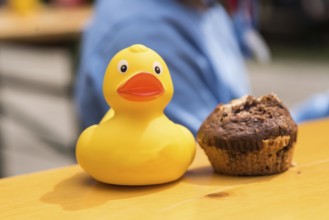 Children's toy yellow squeaky duck and sweet dessert muffin at the table - close-up