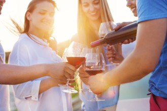Group of happy friends having red wine on the beach. Sunset beach party