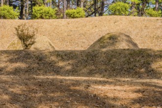 Two burial mounds in a wooded area with small green bushes in background bathed in sunlight, South