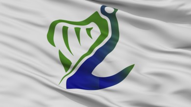 Coast Guard Ireland Flag, Closeup View