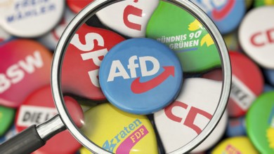 Symbolic image on the topic of AfD observation, AfD election campaign, AfD observation, etc