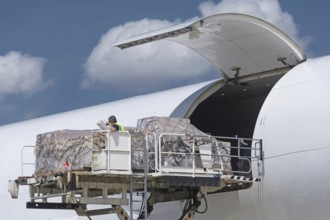 Close-up of aircraft being loaded with air freight