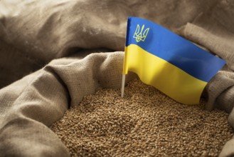 Burlap sack with wheat grains and Ukrainian flag concept