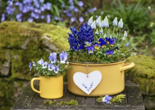 Spring flower arrangement with colourful pansies, hyacinths and grape hyacinths in yellow enamel