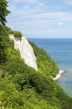 The Königsstuhl, a chalk cliff near Stubbenkammer