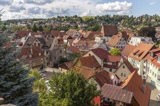 View of the red roofs of Schmalkalden, Thuringia from above with green trees in the foreground