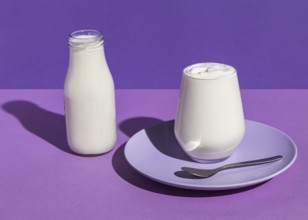 Delicious yogurt concept plate