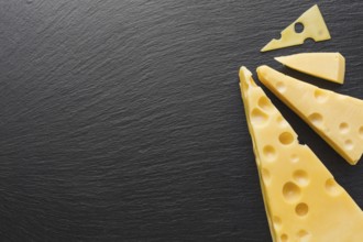 Flat lay emmental cheese with copy space. Resolution and high quality beautiful photo