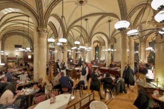 Cafe Central. Vienna Austria