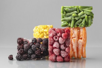 Composition delicious frozen food 6