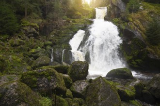 Triberg waterfall in the Black Forest, highest fall in Germany, Gutach river plunges over seven