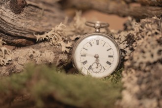 Time, clock, summer time, winter time, alarm clock, sylvester