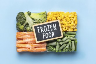 Flat lay arrangement frozen food 6