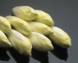 Chicory (cichorium endivia), Vegetables against Black Background