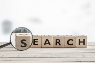 Magnifying glass with the word search on a wooden desk