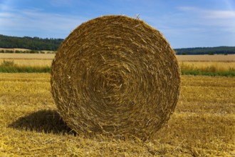 Round bale of straw in a field