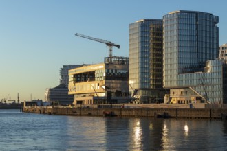 Modern architecture on the Elbe in the evening light on the promenade in Überseequartier,