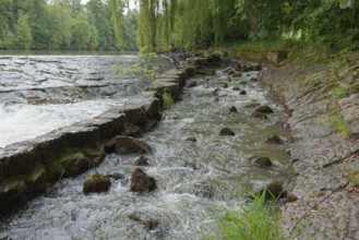 Fish ladder on the Kocher in Künzelsau, Kocher Valley, Hohenlohe, Heilbronn-Franken,