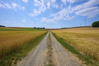 Rural country lane between cornfields with wind turbines and cloudy sky, summer, Retzstadt, Main