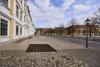 State parliament, historical buildings, baroque architectural style, bare wintry trees, diffuse