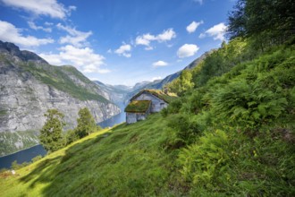 Blomberg Gård, historic mountain farm with grass roof on a steep mountainside above the