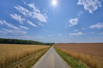 Long path through cornfields under a bright blue sky with scattered clouds, summer, Retzstadt, Main