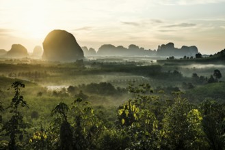 Panorama, Din Daeng Doi, sunrise, Krabi, Thailand, Asia