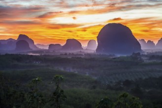 Panorama, Din Daeng Doi, sunrise, Krabi, Thailand, Asia