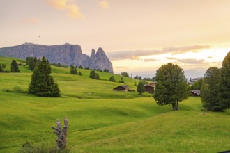 Green valley with trees and huts, mountains in the background at dusk, Alpe di Siusi, South Tyrol,