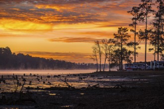 Stumps protrude from low water in Geiger Lake at sunrise in Paul B. Johnson State Park near