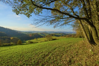 Green hills and meadows stretch out under a blue sky, framed by trees and distant mountains,