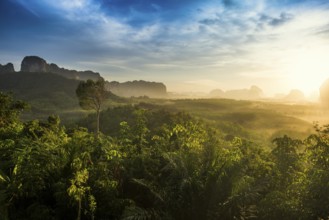 Panorama, Din Daeng Doi, sunrise, Krabi, Thailand, Asia