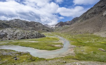 Mountain stream meanders through high mountain landscape on the Upper Senner Egete between meadows