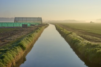 Greenhouse and water channel run parallel in a misty landscape at sunrise, Sassenheim, province of