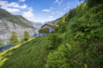 Blomberg Gård, historic mountain farm with grass roof on a steep mountainside above the