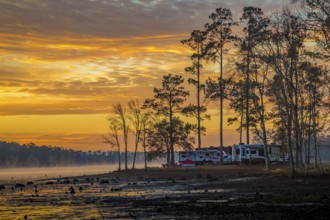 Stumps protrude from low water in Geiger Lake at sunrise in Paul B. Johnson State Park near