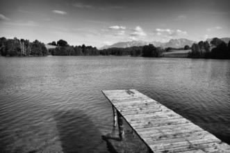 Bathing jetty, jetty, wooden jetty, jetty, leads into a lake, bathing lake, Schwaltenweiher near