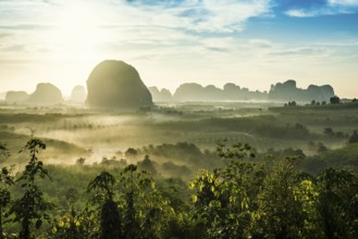 Panorama, Din Daeng Doi, sunrise, Krabi, Thailand, Asia