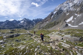 Two mountaineers on a hiking trail through a sunny mountain landscape, ascent to the