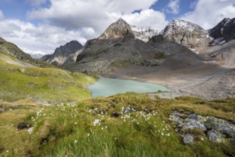 Mountain landscape with flowering cotton grass. View of the turquoise-blue mountain lake Großer