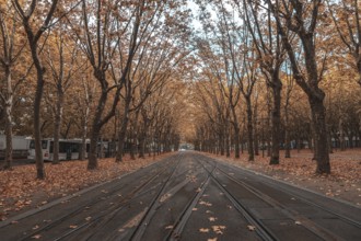 Beautiful autumn foliage covers the ground along tram tracks in bordeaux, france, creating a