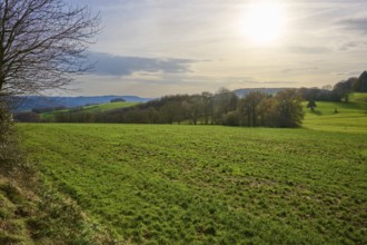 Landscape with green fields, hills and sunlight, Winterkasten, Lindenfels, Bergstrasse district,