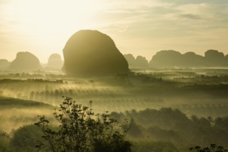 Panorama, Din Daeng Doi, sunrise, Krabi, Thailand, Asia