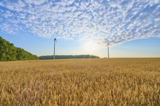 Two wind turbines in a wide field with blue sky and clouds, summer, Höhefeld, Wertheim,