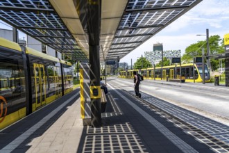 New bus and tram stops at Science Park Utrecht, Utrecht University, the stops have been redesigned,
