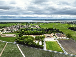 Chateau d'Armailhac Vineyard and grape fields around Pauillac and Gironde Estuary from a drone,