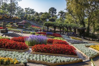 Mae Fah Luang Gardens within the Doi Tung tourist attraction in Chiang Rai, Thailand, Asia