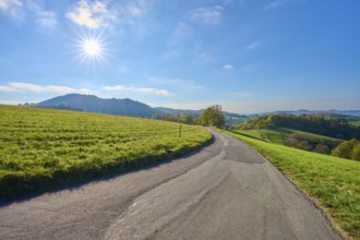 Winding road through sunny hilly landscape under a clear sky, Vöckelsbach, Mörlenbach, Bergstrasse