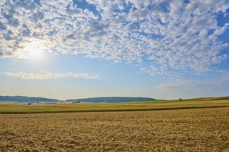 Wide fields under a blue cloudy sky, soft sunlight, summer, Höhefeld, Wertheim, Baden-Württemberg,